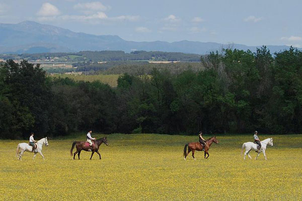 Campus de equitación Masia Can Grau - Hípica