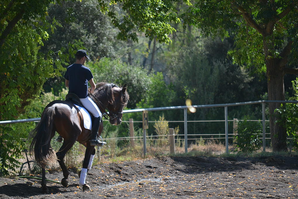 Campus de equitación Masia Can Grau - Hípica