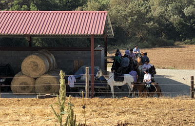 Campus de equitación Masia Can Grau