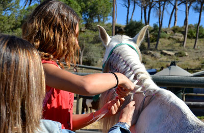 Campus de equitación Masía Can Grau