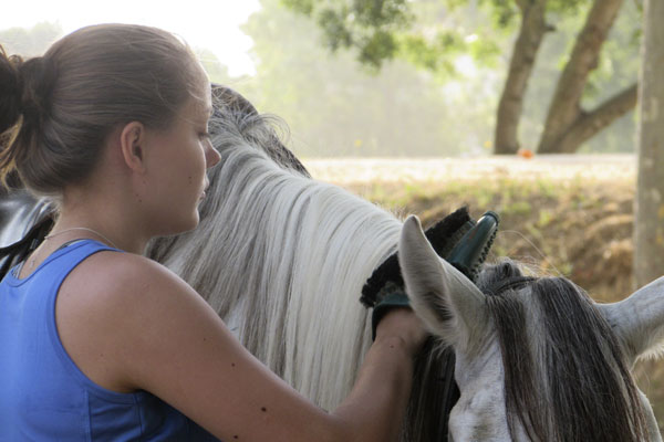 Campus de equitación Masia Can Grau - Hípica