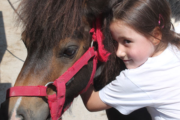 Campus de equitación Masia Can Grau - Hípica