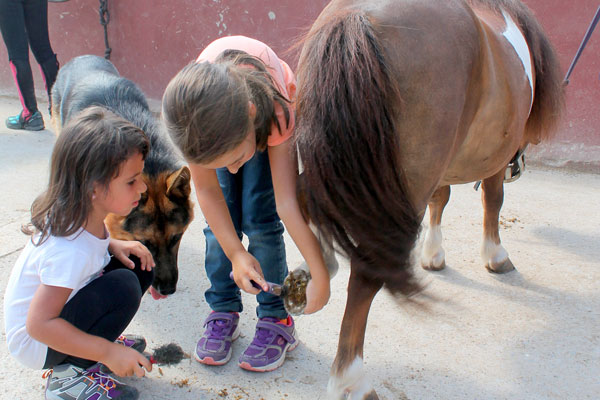 Campus de equitación Masia Can Grau - Hípica