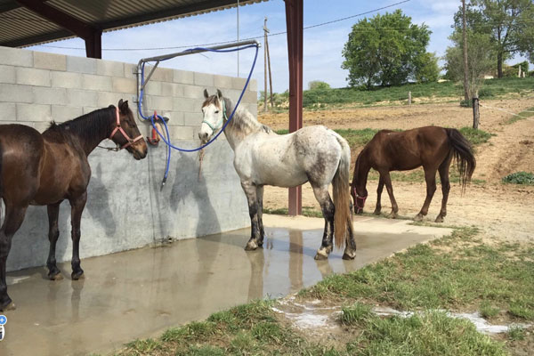 Campus de equitación Masia Can Grau - Hípica