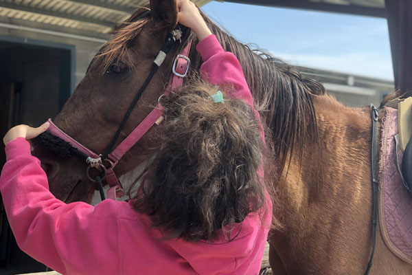 Campus de equitación Masia Can Grau - Hípica