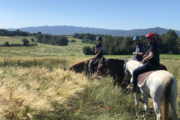 Campus de equitación Masia Can Grau - Hípica