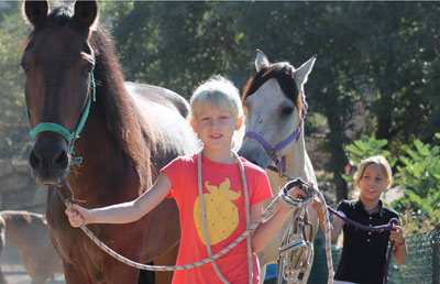 Campus de equitación Masia Can Grau