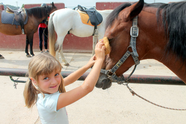 Campus de equitación Masia Can Grau - Actividades