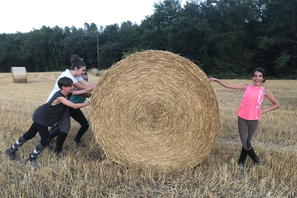 Campus de equitación Masia Can Grau - Actividades