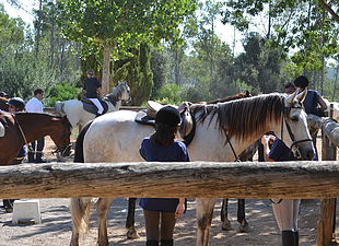 Can Sort excursiones a caballo
