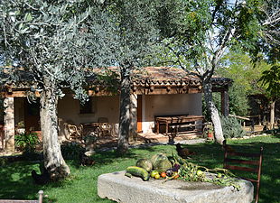 Can Sort excursiones a caballo
