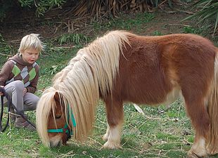 Can Sort excursiones a caballo