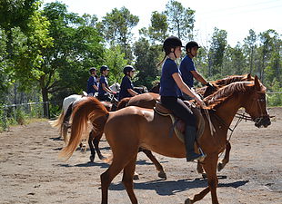 Can Sort excursiones a caballo