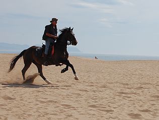Can Sort excursiones a caballo