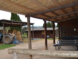 Can Sort excursiones a caballo