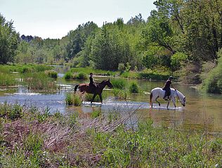Can Sort excursiones a caballo