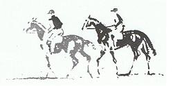 caballos
